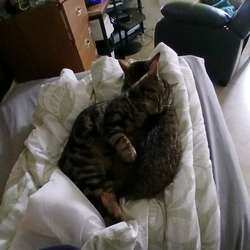 Jessica91's Chat & Dating Profile