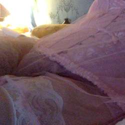 PenelopeCD's Chat & Dating Profile