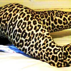 curvymagdalena's Chat & Dating Profile