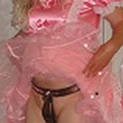 paulirosa's Chat & Dating Profile